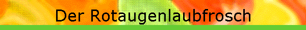 Der Rotaugenlaubfrosch
