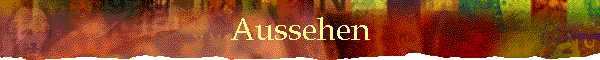 Aussehen
