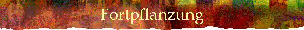 Fortpflanzung