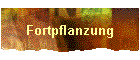 Fortpflanzung