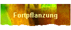 Fortpflanzung